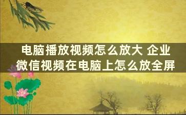 电脑播放视频怎么放大 企业微信视频在电脑上怎么放全屏